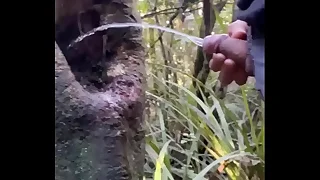 125 public porn videos